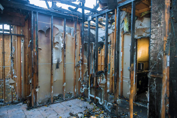 Professional Smoke Damage Removal technician working in Baltimore, MD